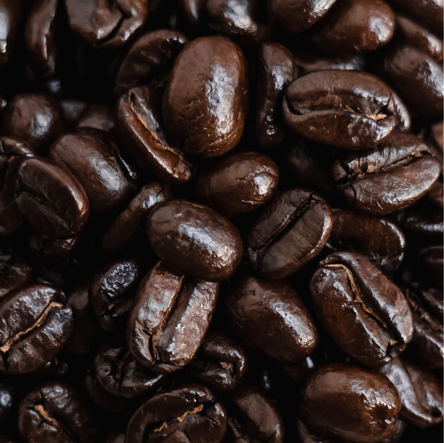 Case of Almond Cow Organic House Coffee - 5 lbs - Image 4