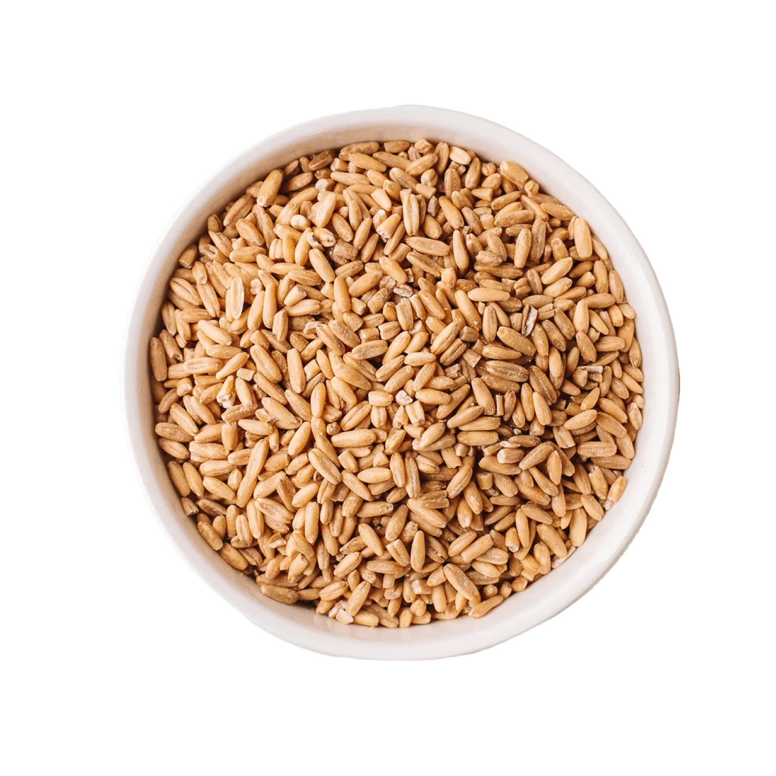 Case of Organic Whole Grain Oats - 30 lbs - Image 7